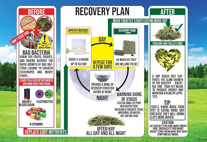 Sherwood Pet Health Rabbit Emergency kit and Bulk Recovery Food (800 Grams)…