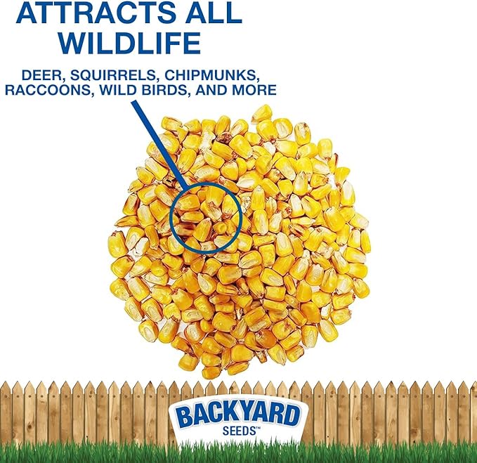 CountryMax Backyard Seeds Whole Corn 50 lbs - High-Energy Animal Feed for Chickens, Squirrels, Deer & Wild Birds, Ground Feeding, High Protein