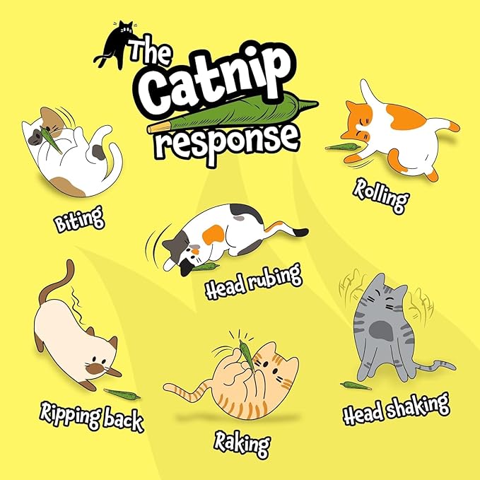 LIT LABS Catnip Toy - 10 Organic Pre-Roll Joints for Extra Purr - Funny Cat Toy for Indoor Cats with Existential Dread