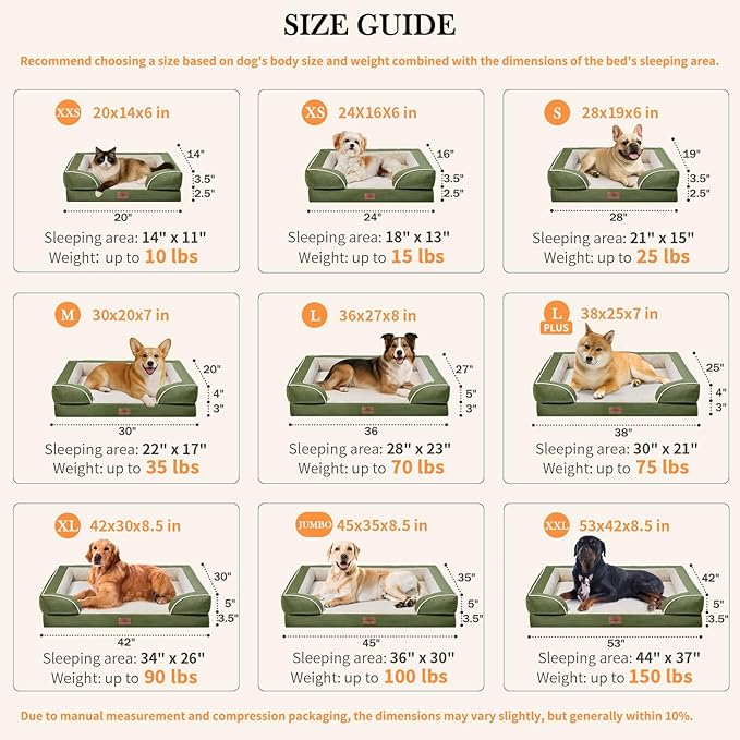 Comfort Expression Orthopedic Dog Bed for Medium Dogs 30x20 Inch, Waterproof Egg Crate Foam Medium Pet Bed with Removable Bolsters, Dog Couch with Washable Cover & Non-Slip Bottom, Light Green