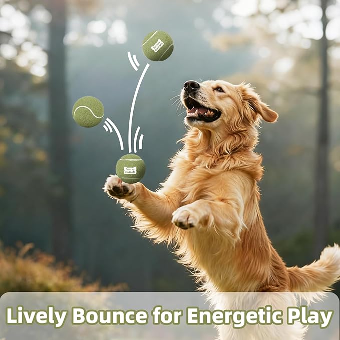 2.5" Dog Tennis Balls 6-Pack Silent Bounce, Tough Rubber Core, Durable Fetch & Training Toys for Indoor/Outdoor Play, for Small Medium Large Dogs (Misty Green, 6 Pack)