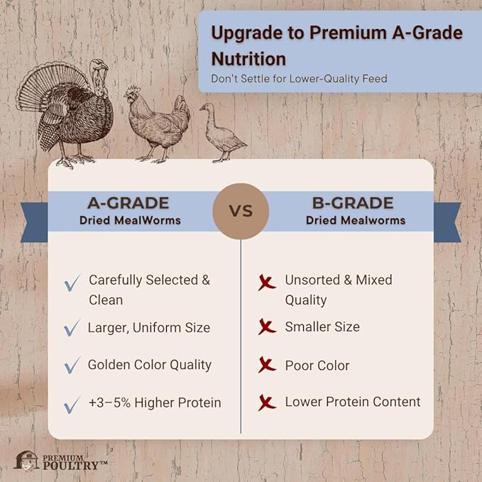 Chicken Feed for Backyard Poultry High Calcium Insect Protein Natural Supplement Treat, Meal Worms, 5lb