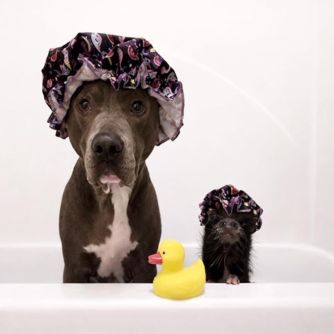 Piggy Poo and Crew Pet Shampoo & Scrub Brush Set – Perfect for Pigs, Dogs, and More! Gentle, Fresh, and Fun Bath Time for Your Pets (Lavender)