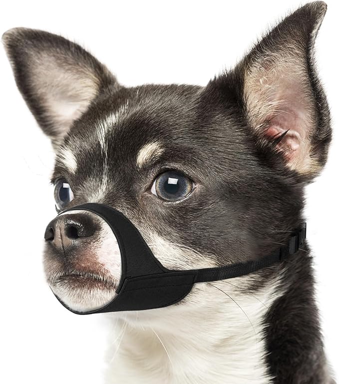 Mayerzon Short Snout Dog Muzzle for Small Medium Dogs, Soft & Sturdy Fabric, Anti Excessive Biting Chewing, Suits Chihuahua Shih Tzu Maltese for Grooming Vet Visits Walk, Allows Drinking(Black, S)
