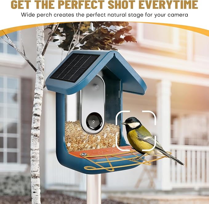 Perch Extender for Bird Buddy, Gold Metal Accessories for Bird Buddy, Custom-Fit Extended Perch with Screws and Washers, Durable Weather-Resistant Add-On for Bird Watching