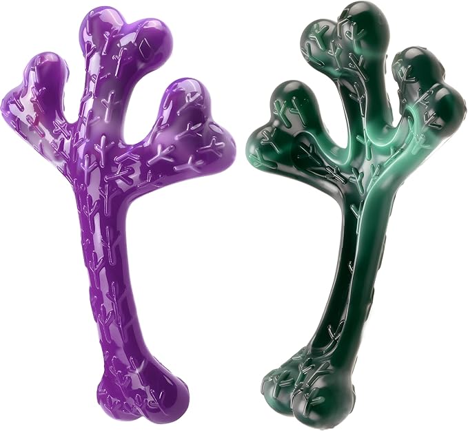 Frienhund 2 Pack Indestructible Dog Chew Toys for Aggressive Chewers - XL Textured Cactus with Grooves for Peanut Butter & Yogurt, Beef Nylon Bones for Large Dogs 20-90 lbs, Easy Chew & Long Lasting