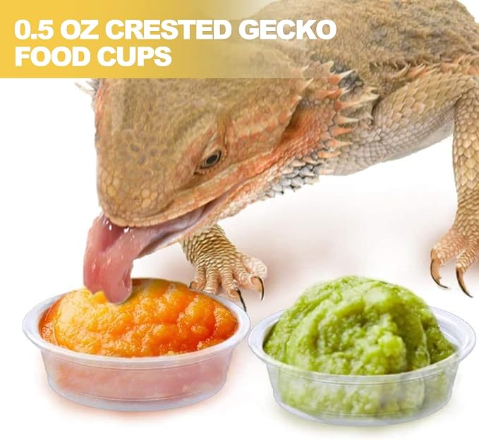 0.5oz Crested Gecko Food and Water Feeding Cups, Reptile Feeder Bowls, Plastic Replacement Food Dish for Lizard and Other Small Pet Ledge Accessories (500 pcs)