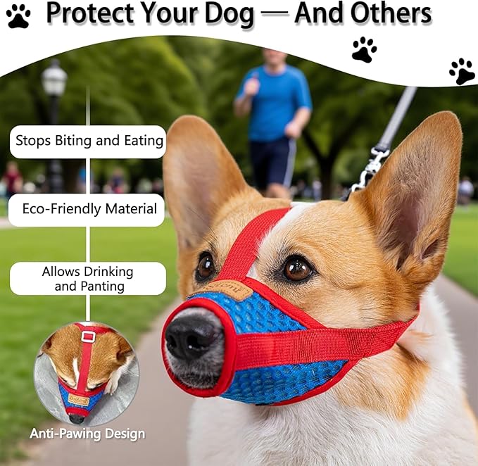 Basket Muzzle for Dogs, Prevents Biting Chewing Barking, Soft Breathable Design with Adjustable Strap, Allows Panting and Drinking, Great for Training Grooming Vet Visits (Red-Blue, Medium)