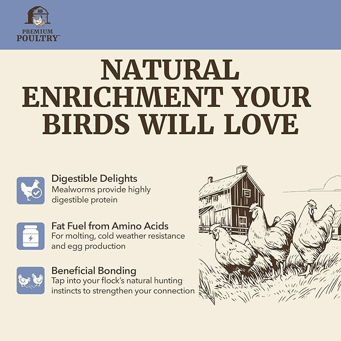 Dried Mealworms for Chickens – High Protein Chicken Treats for Egg Production & Flock Health – Bulk Mealworms for Ducks, Wild Birds, Reptiles & Backyard Poultry Feed, 10 lb