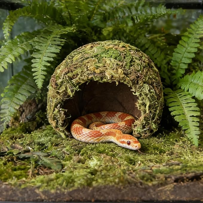 Snake Hide & Reptile Cave - Bearded Dragon Accessories & Leopard Gecko Tank Accessories - Coconut Moss Terrarium Decor & Reptile Supplies for Amphibian Habitats