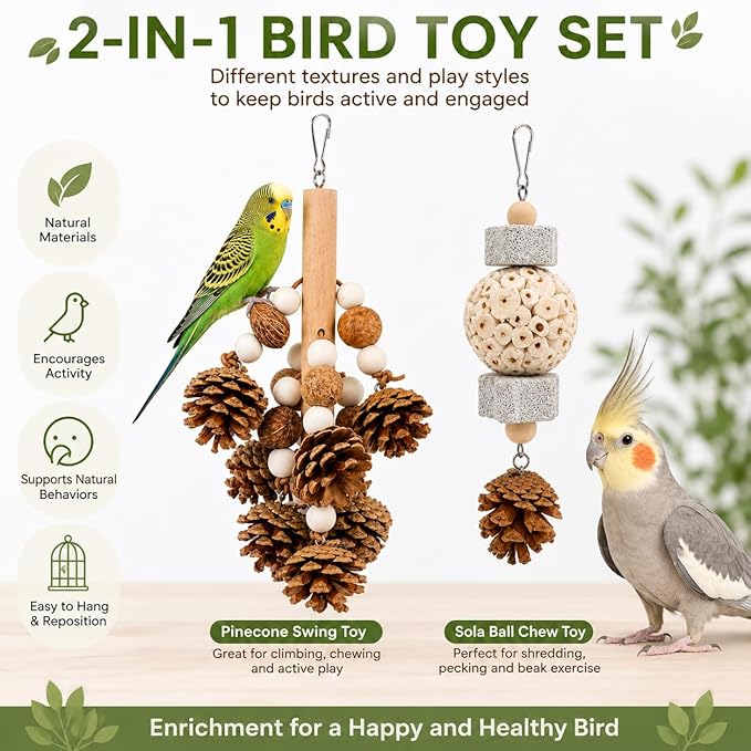 2 Pack Natural Bird Toys for Parakeets & Cockatiels, Pinecone Chew Swing and Sola Ball Hanging Toy, Shredding & Foraging Cage Accessories for Budgies, Conures, Lovebirds