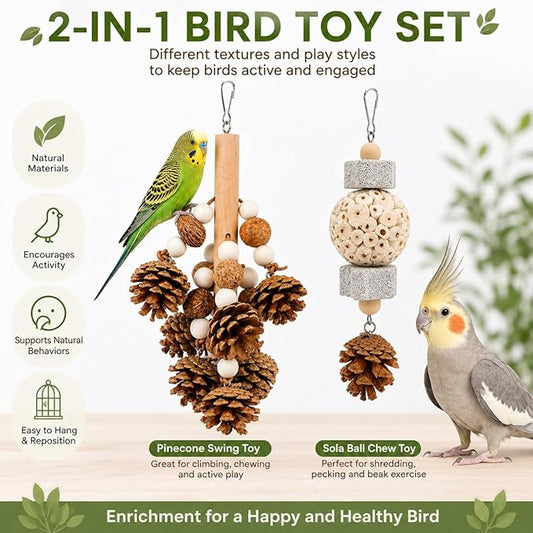 2 Pack Natural Bird Toys for Parakeets & Cockatiels, Pinecone Chew Swing and Sola Ball Hanging Toy, Shredding & Foraging Cage Accessories for Budgies, Conures, Lovebirds