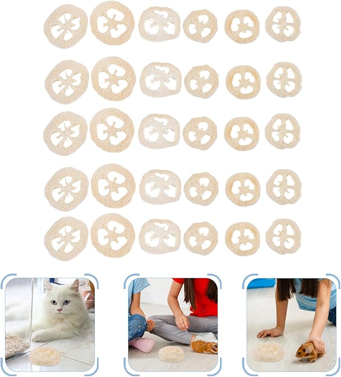 BESPORTBLE 40pcs Natural Loofah Slices Chew for Small Pets Hamsters Rabbits Guinea Pigs Rats Teeth Cleaning Treats Molar for Mouth Health and Furniture Protection
