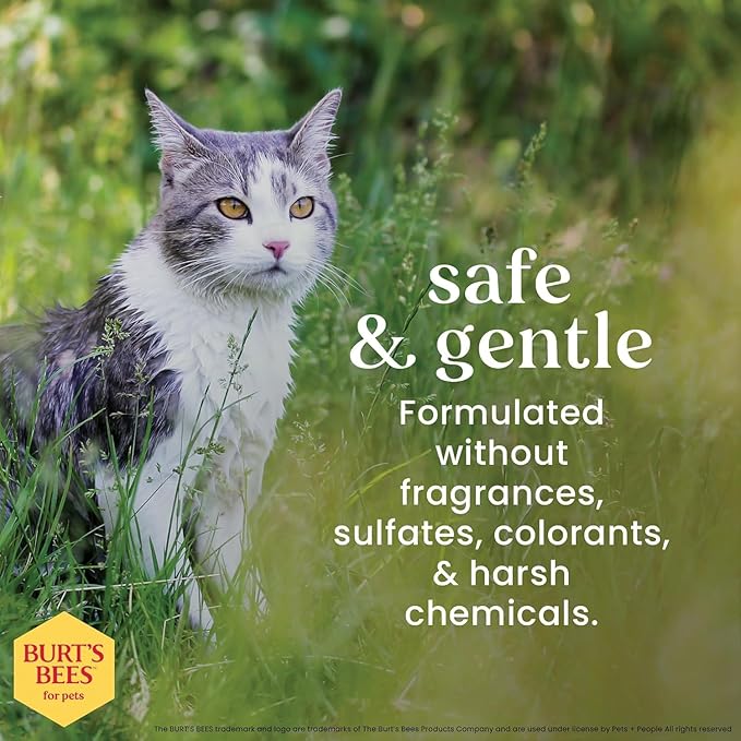 Burt's Bees for Pets Cat Dander Reducing Spray with Colloidal Oat Flour and Honey, Waterless Grooming Spray for Dry Skin and Dandruff Control, Cat Dander Remover for Allergy Support, 10 Fl Oz