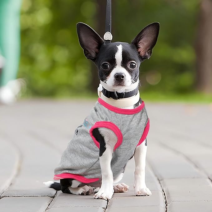 4 Pack Dog Shirt for Small Dogs Spring Summer Printed Puppy Clothes Cute Pet T Shirts Dog Clothes for Small Dogs Cats Girl (Grey+Pink+Purple,Black, Small)