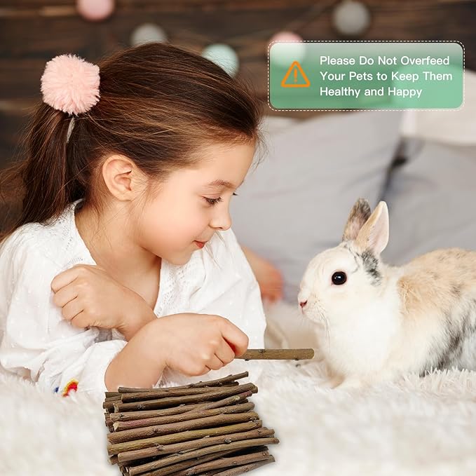 Jorewood 250g Natural Apple Wood Chew Sticks for Rabbits, Hamsters, Chinchillas - Extra Hard Teeth Grinding Toy | Untreated, Safe & Long-Lasting Rodent Chews