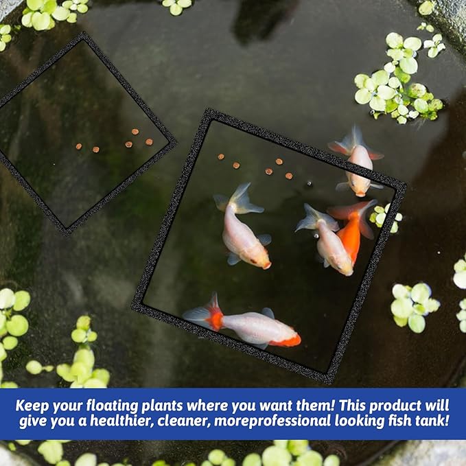5Pcs Fish Black Foam Feeding Rings Set, Floating Aquarium Plant Corral, Square Feedings Rings for Fish Tank, Floating Plant Ring, Betta Fish Tank Aquarium Accessories