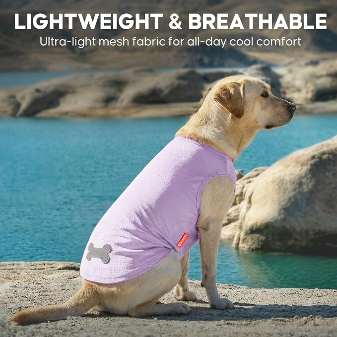 KYEESE 2Pack Dog Shirt, Lightweight Sun Protection Dog T Shirts for Large Dogs Boy Girl, Breathable Mesh Tank Top Sleeveless Pet Reflective Vest, Soft Summer Dogs Clothes, Dinosaur+Purple, 3XL