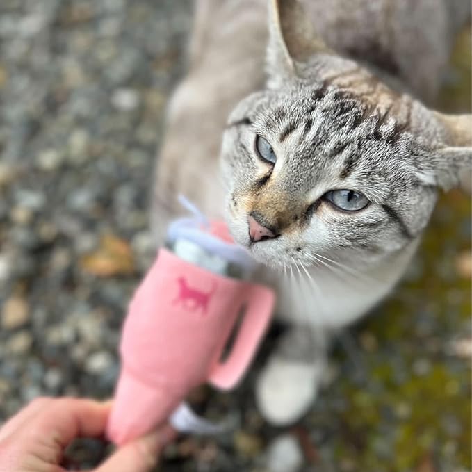 PUPROAR Kitty Cup Catnip Toy - Cute Cat Birthday Toy with Catnip & Crinkle, Funny Girly Kitten Gift (Pink Peach Dust)