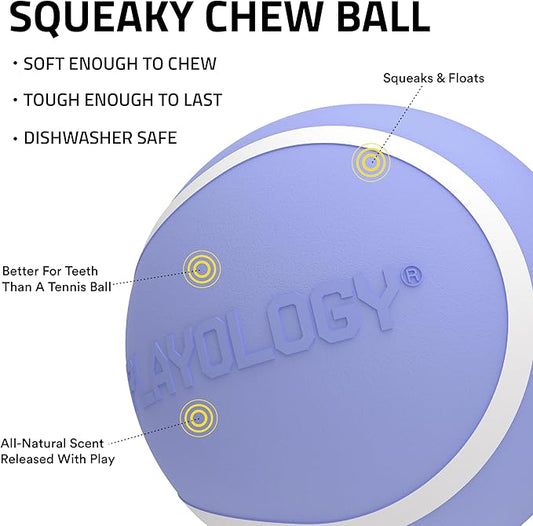 Playology Dog Toys | Squeaky Chew Ball for Large Dogs | Blueberry Scented Jumbo Dog Ball | Bouncy Floating Chew Toys for Fetch