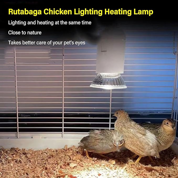 220V Reptile Heat Lamp, Professional Efficient Save Energy 360 Degree Lighting Warm UVA UVB Basking Lamp, Sunlight Bulb for Reptile Amphibian Tortoise Snake Gecko Bearded Dragon Use(#2)