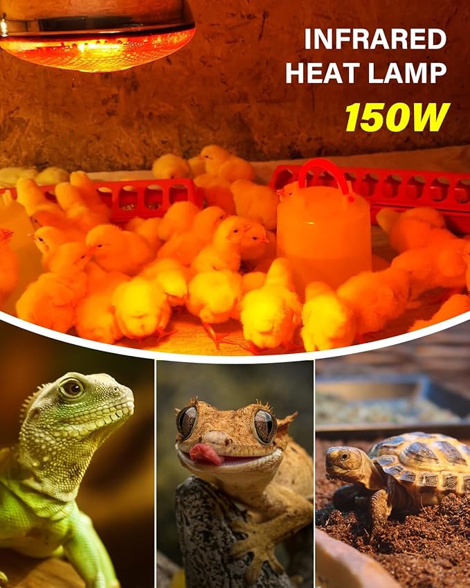 Heat Lamp Bulbs for Chickens Coop Brooder,150 Watt Reptile Heat Lamp Bulb Infrared Red Light for Chicks,Birds,Ducks,Dogs,Cats (Heating Lamp Not Included)-ONLY Sold Official