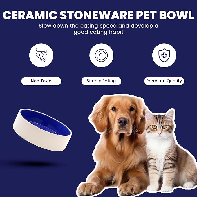 SPOT Standard Crock Dish - Heavy Duty, Non-Slip, Round Ceramic Food/Water Bowl for Pets, Ideal for Medium to Large Dogs or Multiple Animals, Dishwasher Safe - 9.5 in, 8 Cups, (64 Oz)(Pack of 6)