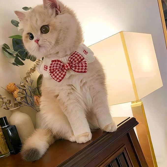 Elegant Lace Cat Collar with Cute Bow,Kitty Collars with Bow Tie,Pet Lace Bib Collar with Cute Bow,Cat Princess Costumes,Red,1 Piece