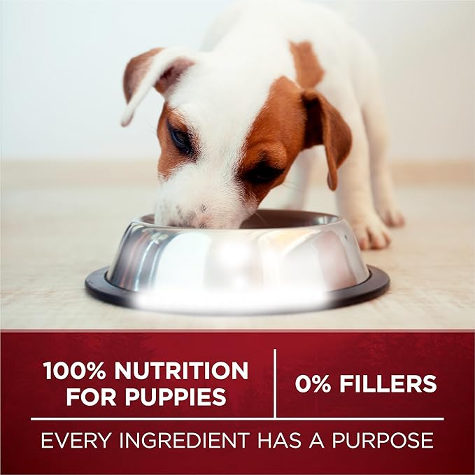 Purina ONE True Instinct with Real Chicken and Duck High Protein Puppy Food Formula Natural with Added Vitamins, Minerals and Nutrients - 27.5 lb (Pack of 1)