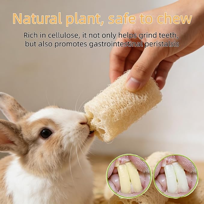4 PCS Rabbit Chew Toys Natural Loofah Guinea Pig Treats Bunny Stuff Cage Accessories for Chinchillas Guinea Pig Rabbits (4PCS with a Rope)