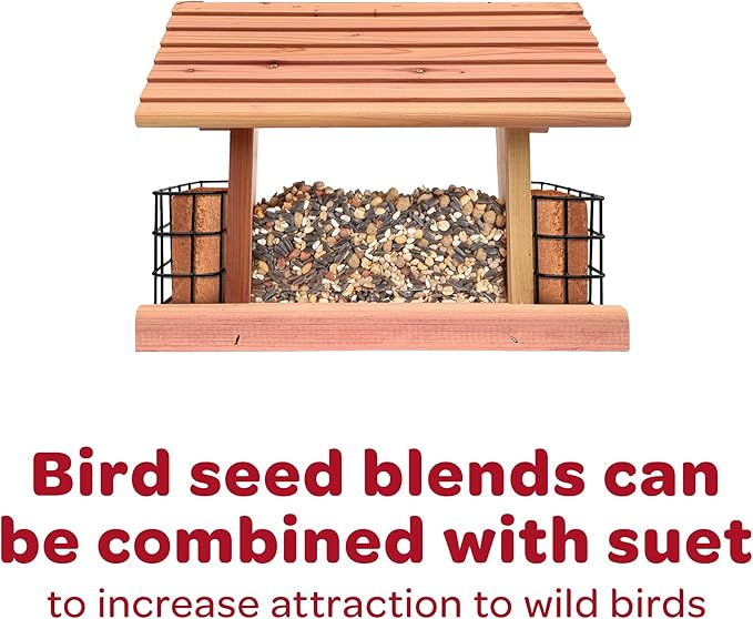 Kaytee Western Regional Wild Bird Seed, 7 lb