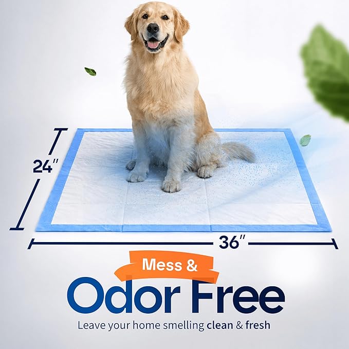 Healqu Puppy Pads - 100-Count, 24x24 - Advanced Leakproof Technology for Housebreaking & Training - Ultra Absorbent Puppy Pee Pads - Ideal for Dogs, Puppies, Cats - Attractant Pet Training Pads