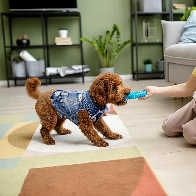 Dog Denim Jacket with Embroidered Daisy, Ripped Vintage Jean Vest for Small Dogs, Pugs, Chihuahuas, Spring Summer Fall Festival Outfit, XXL (Fits Chest 19-20.5", NOT for Large Dogs)