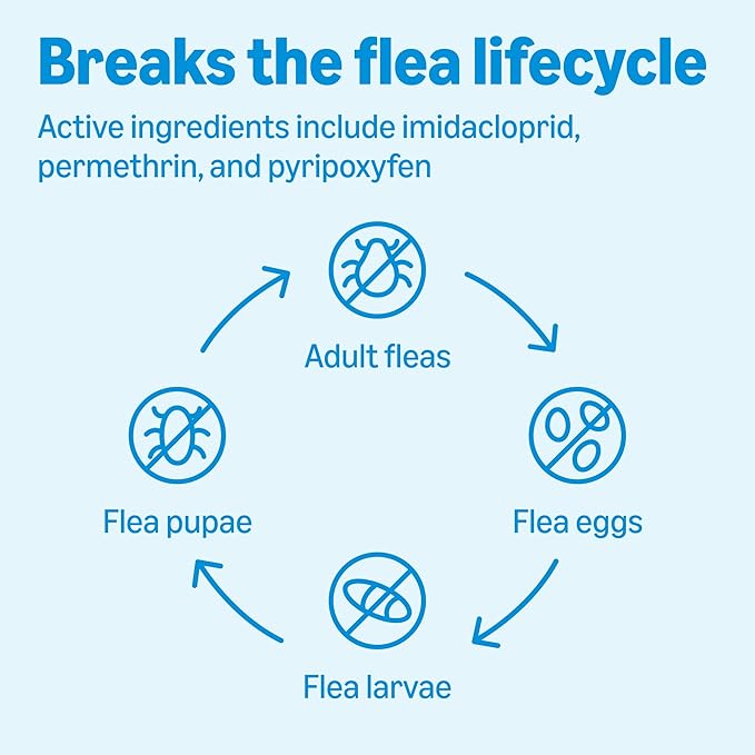 Amazon Basics Flea, Tick & Mosquito Topical Treatment & Prevention for Medium Dogs (11-20 pounds), Fast-Acting, Kills Fleas, Eggs & Larvae, 30 Day Protection, 6 Count, Packaging May Vary