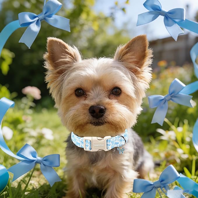 Lionet Paws Summer Dog Collar- Cute Blue Bow Dogs Collar with Plastic Buckle and Bowtie Pendant,Dog Collar for Small Dogs Boy