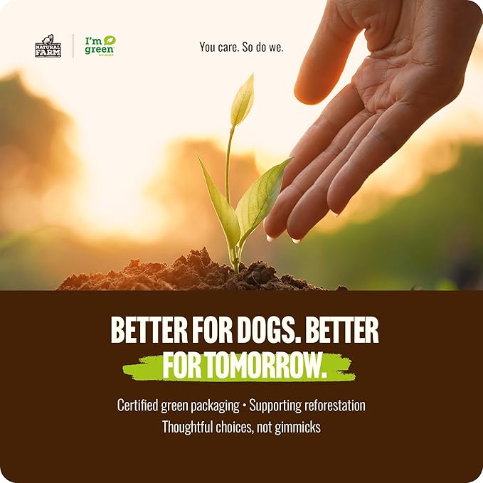 Natural Farm Odor-Free Bully Sticks (6 Inch, 6 Ounces), Packaged by Weight, 100% Beef Chews, Grass-Fed, Fully Digestible Treats to Keep Your Puppies, Small and Medium Dogs Busy