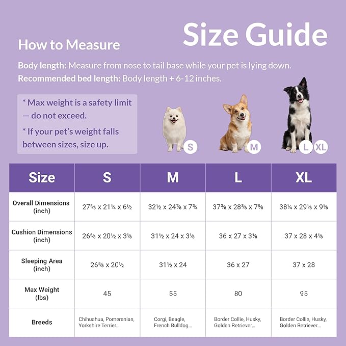 Elevated Wooden Dog Bed with Supportive Cushion & Washable Cover, Sturdy Noise-Free Frame, Modern Furniture-Style Design for Indoor Living Spaces, M Size for Medium Dogs, Natural Wood Finish