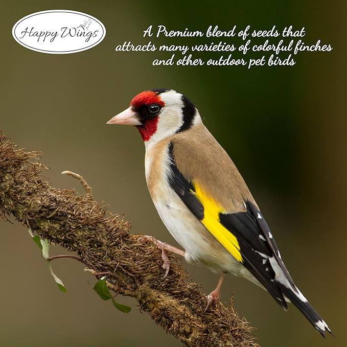 Happy Wings Finch Blend Bird Food - Mix of Sunflower Hearts/Kernels and Nyjer, 5 Pounds - No Grow Seed - For Wild Birds