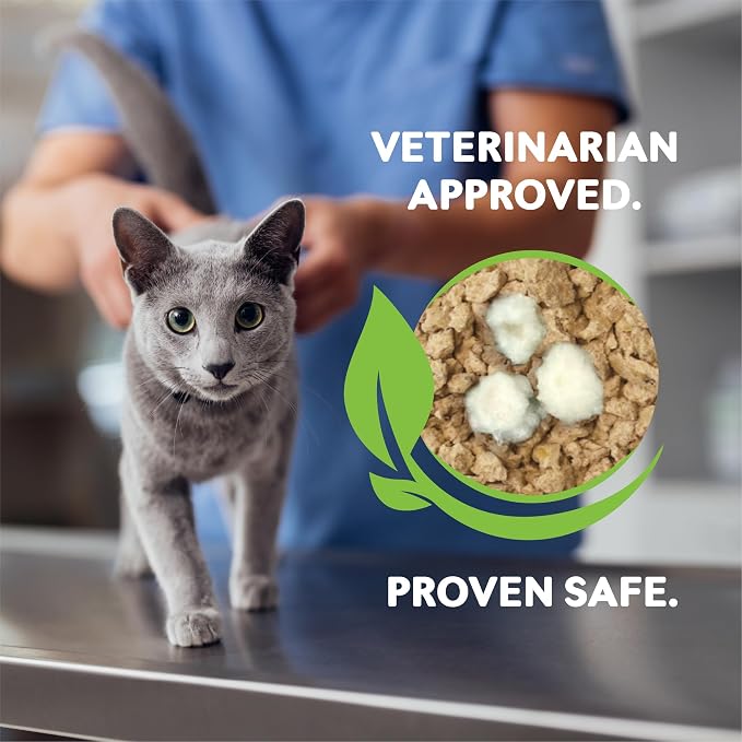 WORLD'S BEST CAT LITTER® Boosters™ Health Check-in™ | Cat Litter Additive for Health Monitoring | UTI Monitoring and Detection with Color Changing Indicator | Vet Approved | Single Packet, 12g