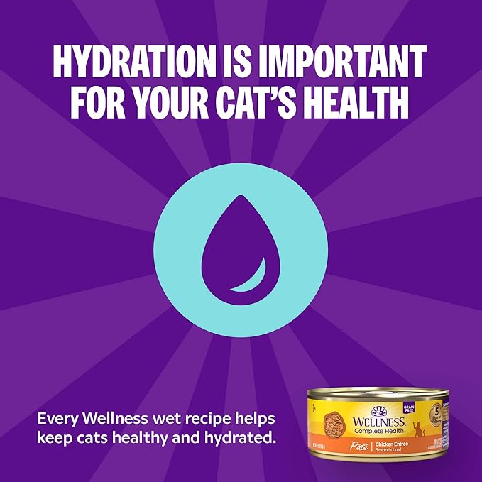 Wellness Complete Health Minced Adult Canned Wet Cat Food, Natural, Protein Rich, Grain Free, Chicken Dinner Recipe, 5.5 oz, Pack of 24 Cans