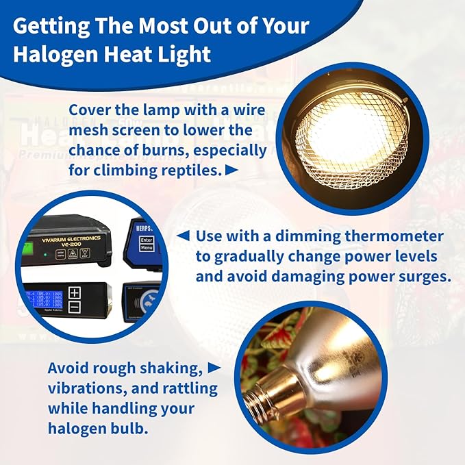 Pangea 75W Halogen Heat Lamp for Reptiles - Warming UVA and Infrared Light for Turtles, Tortoises, Bearded Dragons - Heating Bulb Terrarium Accessories, Designed for Ceramic Sockets (75 Watt)