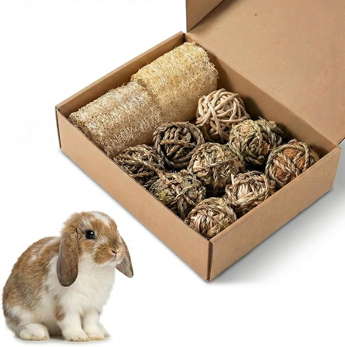11 Pcs Rabbit Chew Toys, Interactive Bunny Foraging Toy, Natural Materials, Loofah Sponges, Seagrass Balls, Dental Cleaning, Relieve Stress