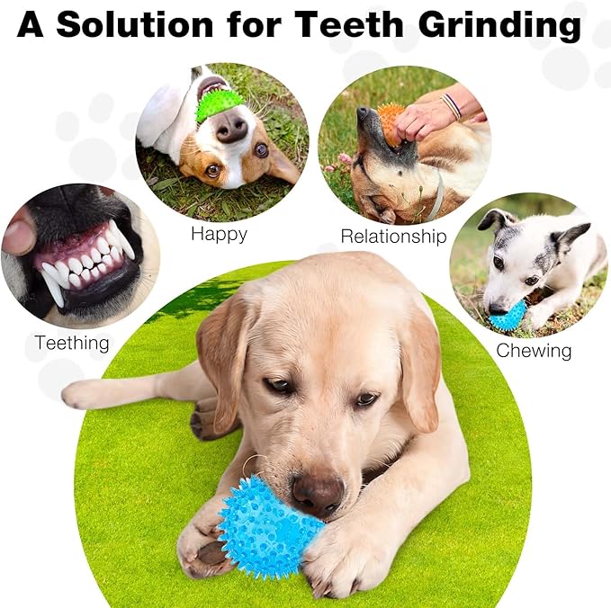 PUPTILY Puppy Toy 2.5” Squeaky Dog Balls Toys and Spikey Dog Ball for Aggressive Chewers for Small Dogs Dog Balls for Clean Teeth and Training （6 Pack