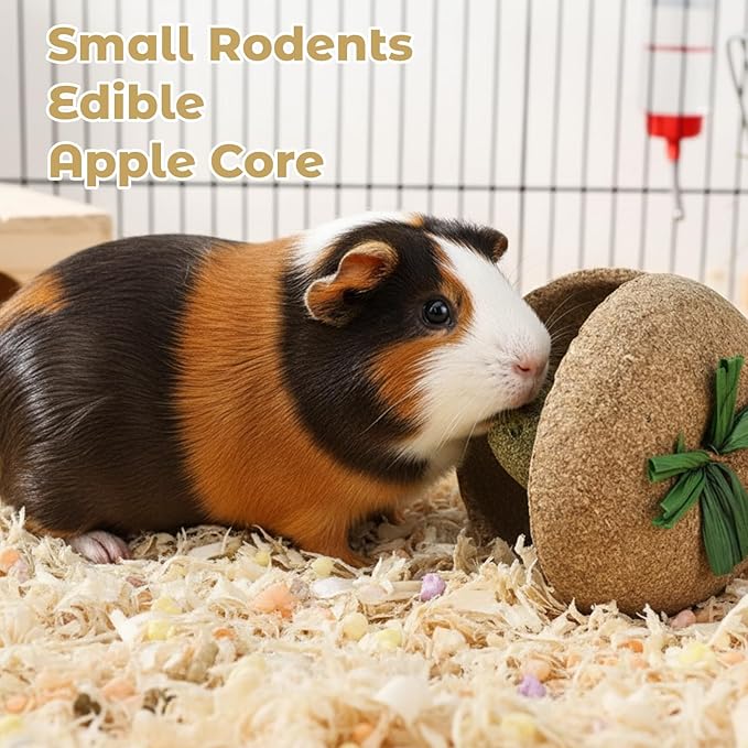 3PCS Hamster Stuff, Rabbit Chew Toys, Rat Toys, 2 Chew Sticks and 1 Apple Core, Small Animal Teeth Care, Natural Wood Material