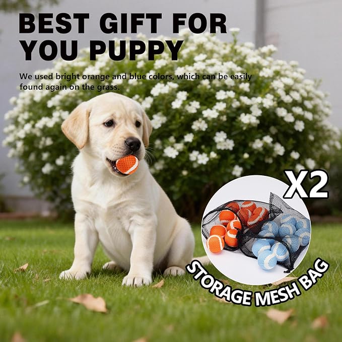 MECOOL 1.57 Inch Small Tennis Balls for Dogs - 20 Pack Durable Mesh Chew & Fetch Balls, Interactive Dog Toy Balls for Small Medium Breed Puppies, Tough Chew Toys,Orange and Blue