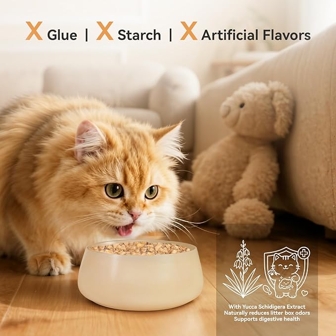 APL Freeze-Dried Cat Food, 0.5oz x 6 Pack | 90% Animal Ingredients, 65% Crude Protein | Chicken, Heart & Liver Recipe with Yucca Extract | Grain-Free, Complete Meal for Travel, Mixing & Sharing