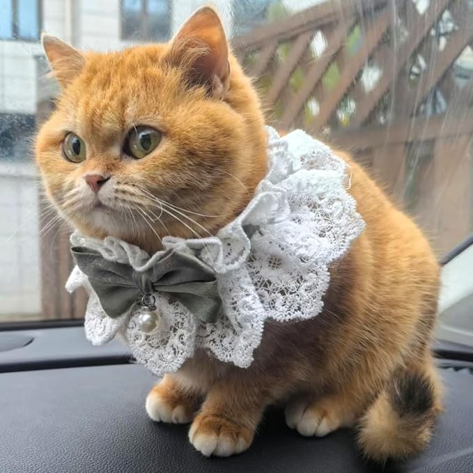 Elegant Lace Cat Collar with Cute Bow,Kitty Necklace with Bow Tie and Pearl,Pet Lace Bib Collar with Cute Bow,Cat Princess Costumes,Green,1 Piece
