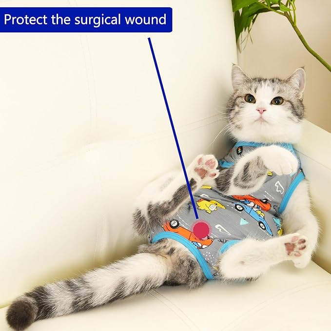 kzrfojy Cat Recovery Suit Cat Onesie for Cats After Surgery Female Male Spay Kitten Neuter Surgical Bodysuit Post Surgery Cone of Shame Alternative Anti Licking (Gray, Medium)