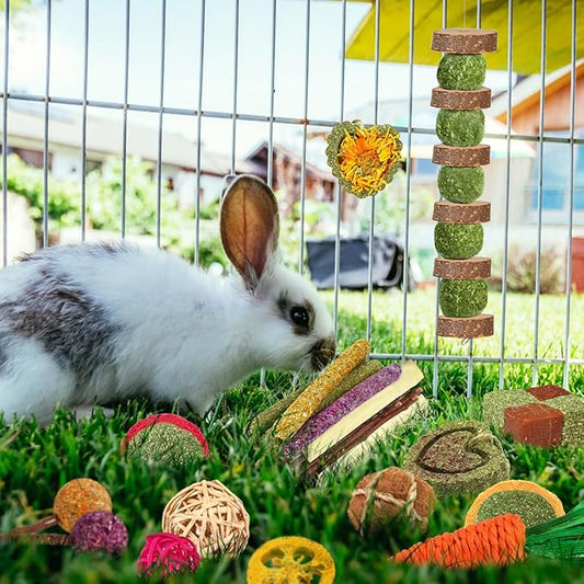 YIXUND Rabbit & Guinea Pig Toys - Natural Timothy Hay & Apple Wood Sticks for Teeth Care - Handmade for Hamster, Bunny, Chinchilla (27 Pcs)