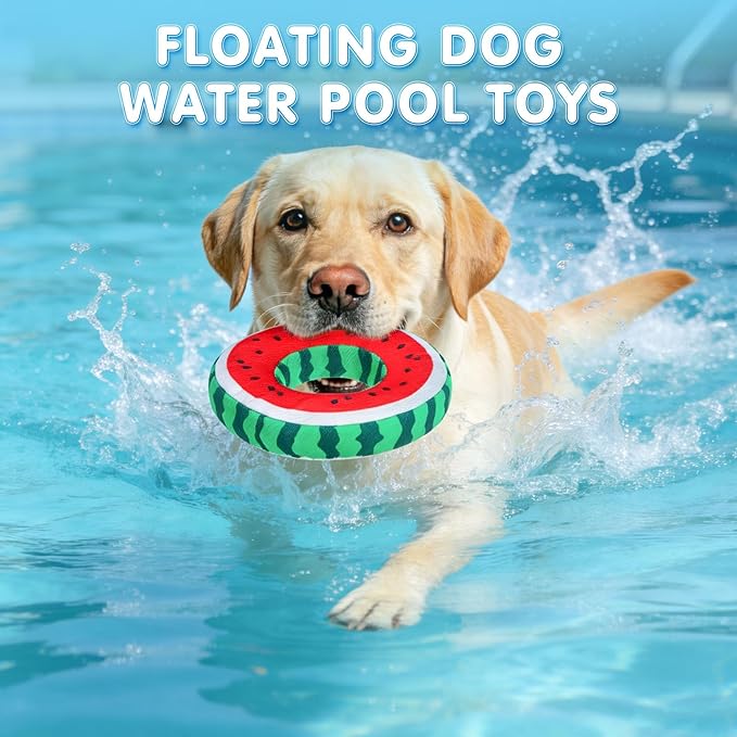 SCENEREAL Dog Water Toy for Medium Small Dogs- 2 Pack Floating Dog Toys Squeaky Toys for Pool Fetch, Whale & Watermelon Shape Durable Pet Chew Toy Summer Outdoor Interactive Play